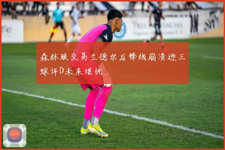 森林狼交易兰德尔后锋线崩溃迎三球评D未来堪忧