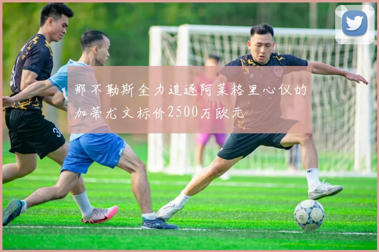 那不勒斯全力追逐阿莱格里心仪的加蒂尤文标价2500万欧元